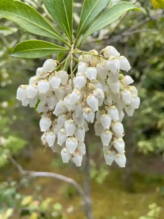光悦寺(京都府)