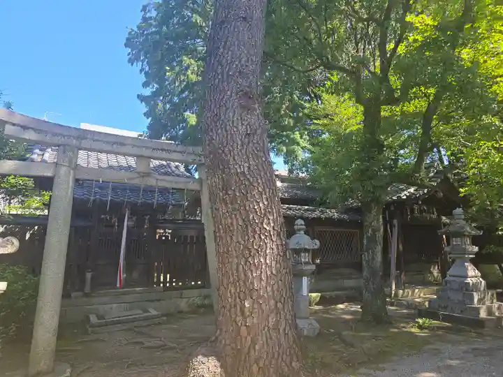 御霊神社(上御霊神社)(京都府)