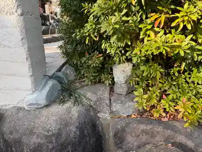 祥龍山 金剛寺(神奈川県)