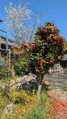 大乗寺(滋賀県)