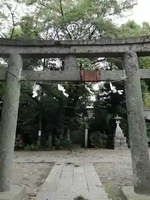 須賀神社の鳥居