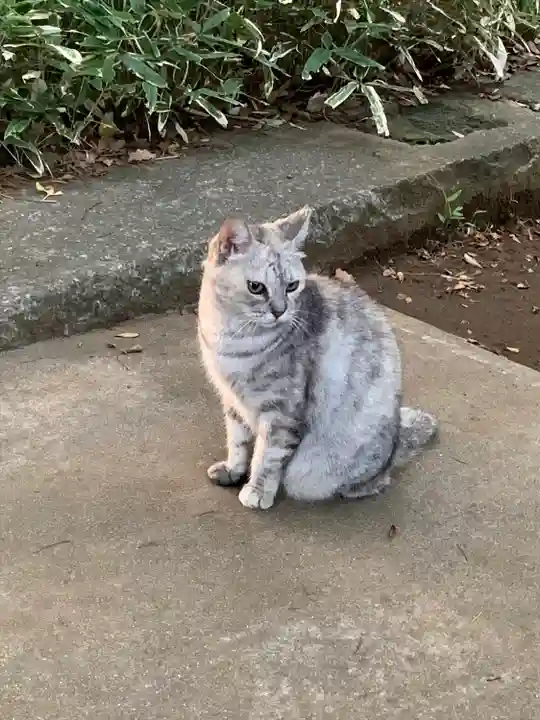 麻賀多神社(千葉県)