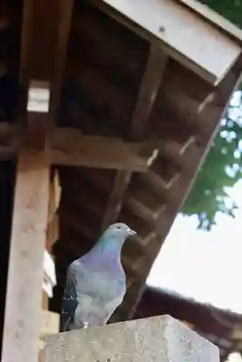 金王八幡宮(東京都)