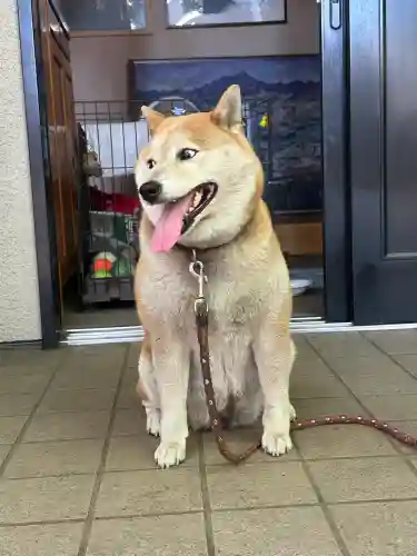 笠䅣稲荷神社(神奈川県)