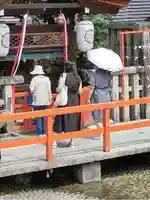 賀茂御祖神社(下鴨神社)(京都府)