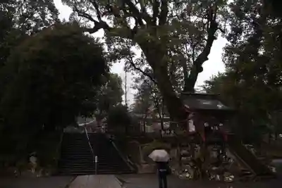 鹿児島神宮(鹿児島県)