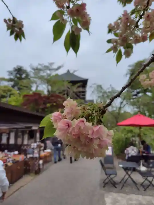笠森寺(千葉県)