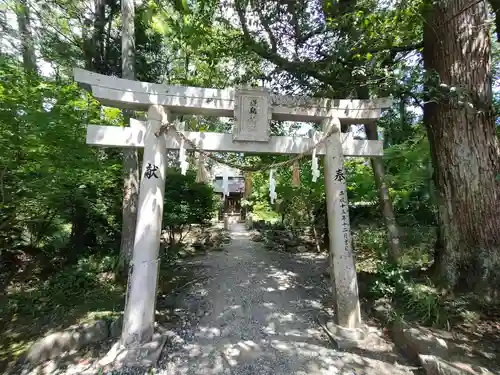 土佐神社の鳥居