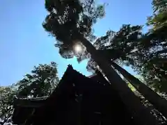 岩崎神社(長野県)