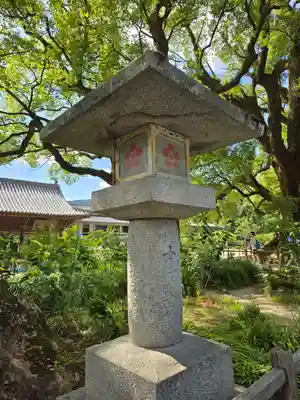 太宰府天満宮(福岡県)