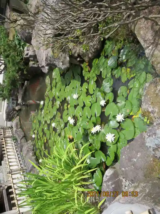 高屋敷稲荷神社(福島県)