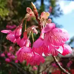 六所神社の自然