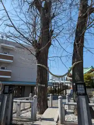 千住神社(東京都)