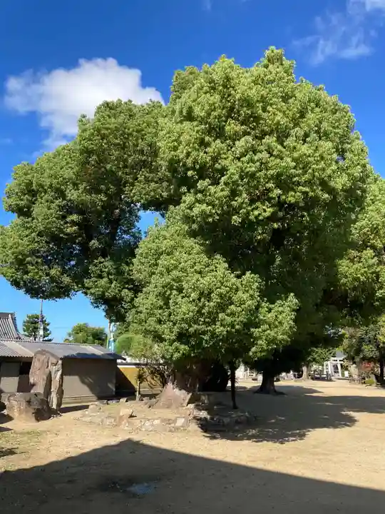 金倉寺(香川県)