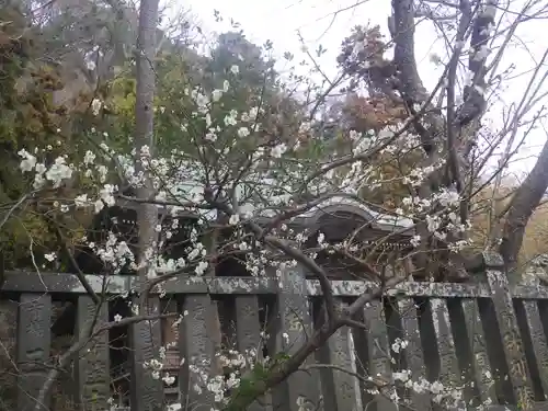 御霊神社の自然