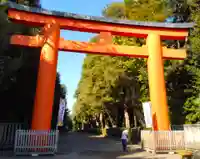 井草八幡宮(東京都)