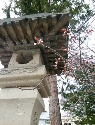 住吉神社の自然