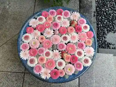 行田八幡神社の手水舎