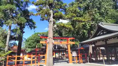 吉田神社(京都府)