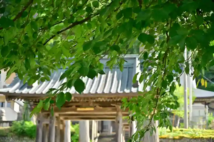 朝日寺(新潟県)