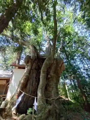 黒沼神社(福島県)