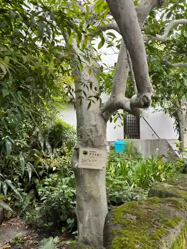 光明院(広島県)