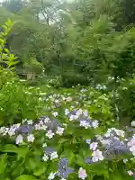 極楽寺(静岡県)