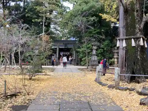 赤坂氷川神社のその他建物