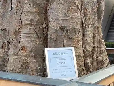 住吉神社の自然