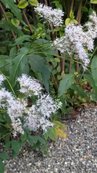 梨木神社(京都府)