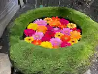 菅生神社の手水舎