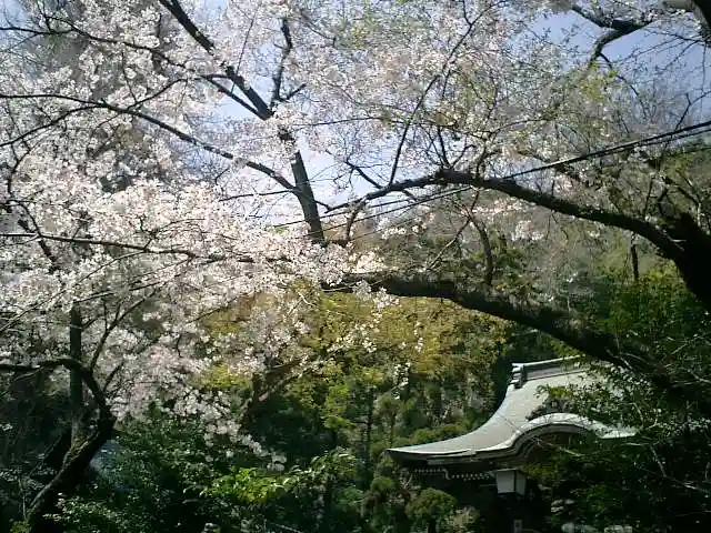 御霊神社の自然