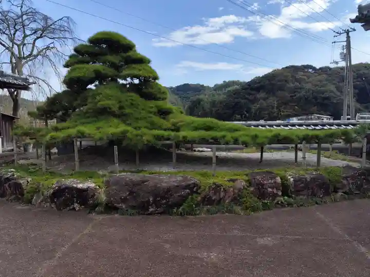種間寺(高知県)