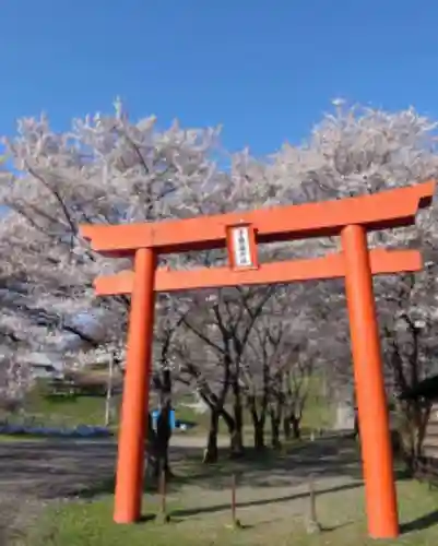 長光寺の鳥居