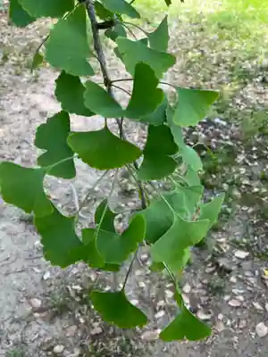 鞆江神社（明地）(愛知県)