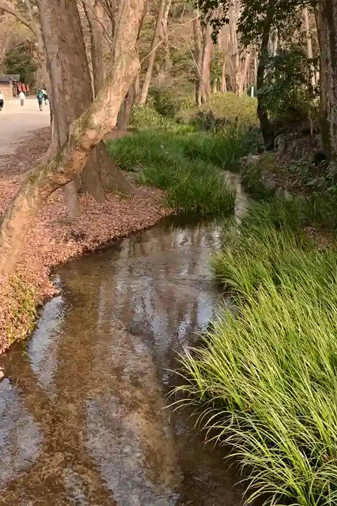 河合神社(鴨川合坐小社宅神社)(京都府)