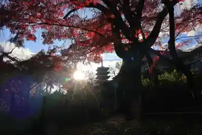 本土寺(千葉県)