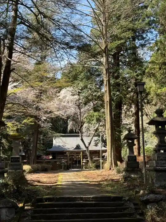 都々古別神社(馬場)の{uncategorized: "未分類", other: "その他", undefined: "問題あり", building: "その他建物", grave: "お墓", sacred_gate: "鳥居", guardian: "狛犬", statue: "像", buddha: "仏像", history: "歴史", nature: "自然", garden: "庭園", animal: "動物", pagoda: "塔", temizu: "手水舎", mountain_gate: "山門・神門", sanctuary: "本殿・本堂", subordinate: "末社・摂社", art: "芸術", scenery: "景色", jizo: "地蔵", ema: "絵馬", goshuin: "御朱印", omikuji: "おみくじ", items: "授与品その他", amulet: "お守り", goshuincho: "御朱印帳", eats: "食事", festival: "お祭り", votive_dance: "神楽", shichigosan: "七五三参", wedding: "結婚式", experience: "体験その他", initially: "初詣", around: "周辺", anti_infection: "感染症対策"}
