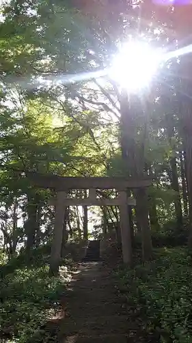 珍蔵寺　の鳥居