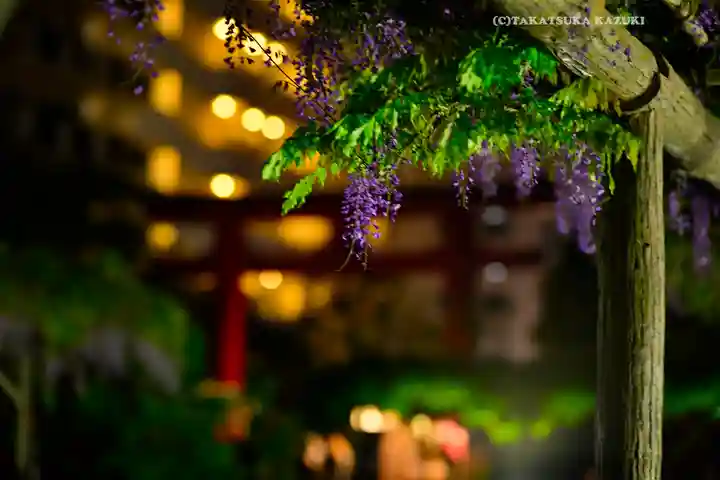 亀戸天神社(東京都)