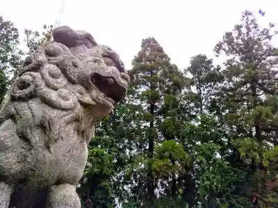市杵島姫神社の狛犬