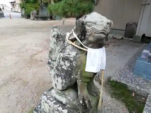 住吉神社の狛犬