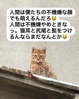 専念寺(大阪府)