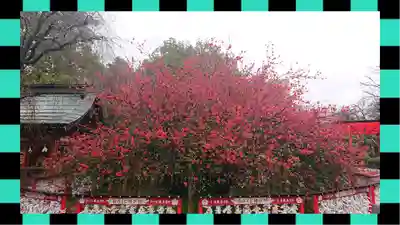 冠稲荷神社(群馬県)