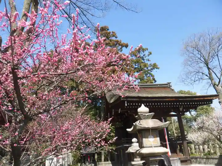 城南宮(京都府)