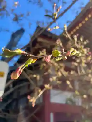 宝壽山 吉祥院(北海道)