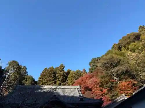 財賀寺(愛知県)