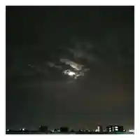 岐阜稲荷山本社(岐阜県)