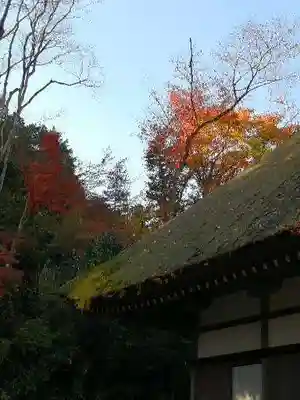 廣徳寺のその他建物