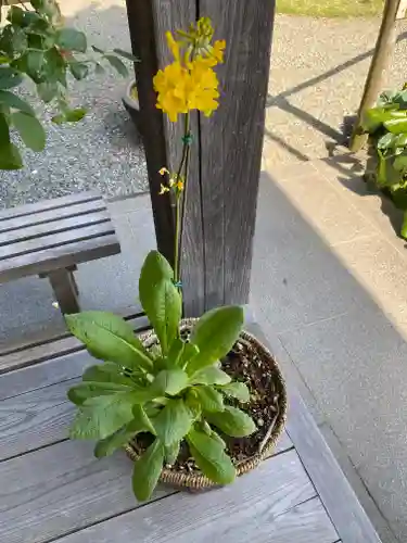 妙蓮寺(神奈川県)
